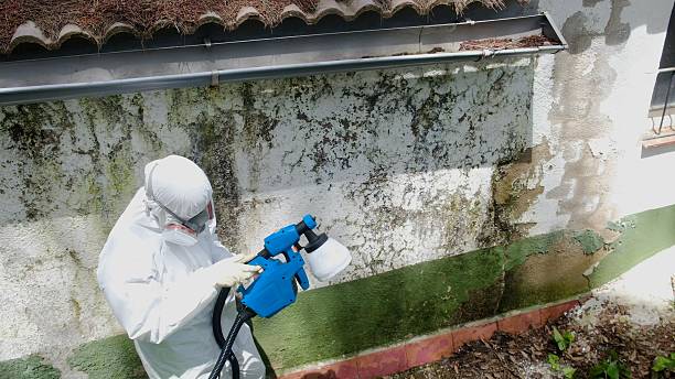 Top rated local Commercial Mold Remediation specialists in Port Trevorton, PA